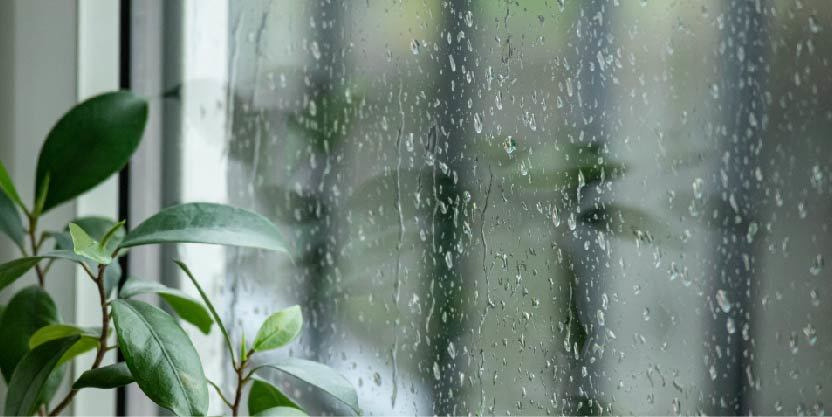 雨で汚れを洗い流す。 外壁の色あせを防ぐ。