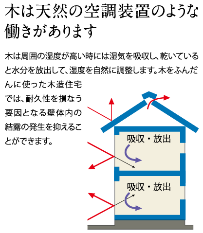 木は天然の空調装置のような働きがあります